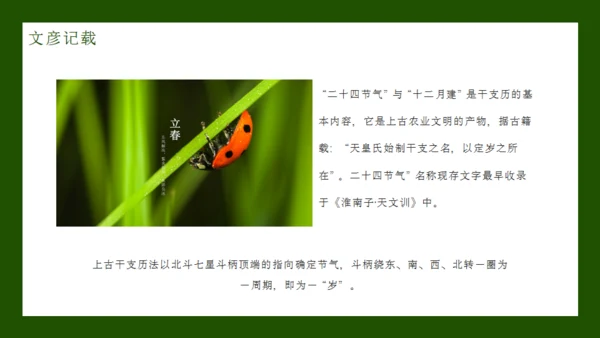 立春节气通用PPT模板