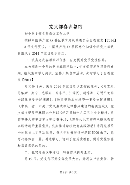 党支部春训总结.docx