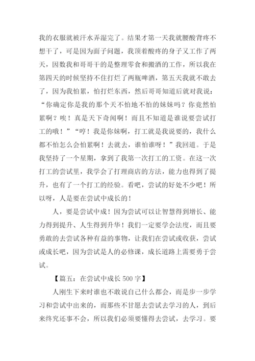 在尝试中成长作文500字.docx