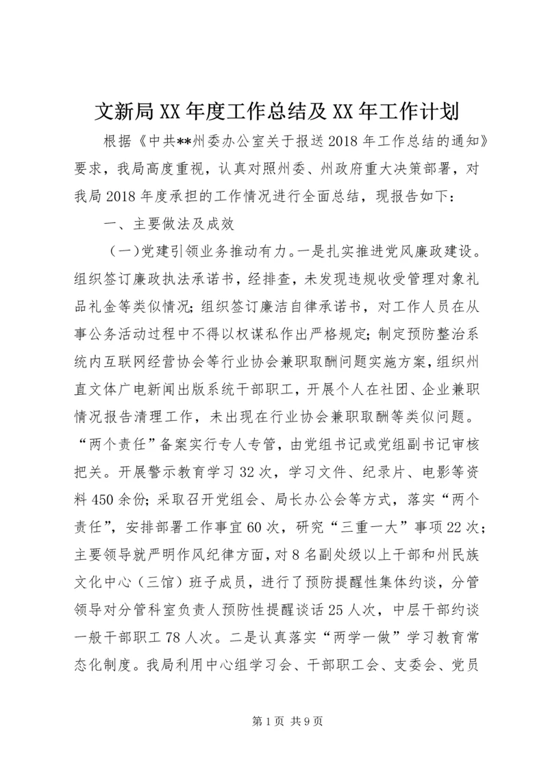 文新局XX年度工作总结及XX年工作计划.docx