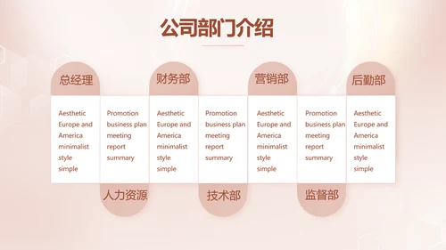 轻奢女神微整形医院介绍工作总结PPT