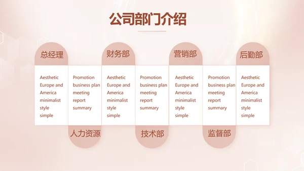 轻奢女神微整形医院介绍工作总结PPT