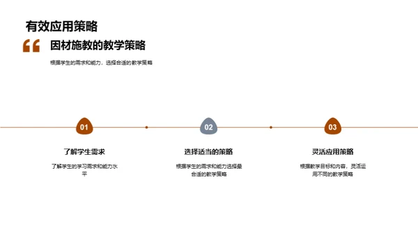 教学策略解析