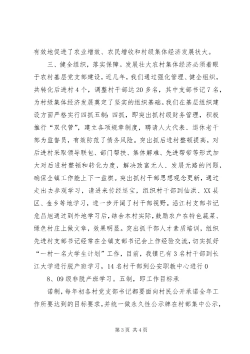 加强基层组织建设壮大农村集体经济 (2).docx