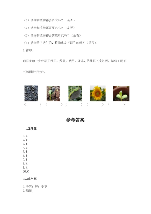 教科版一年级上册科学期末测试卷及答案（基础+提升）.docx