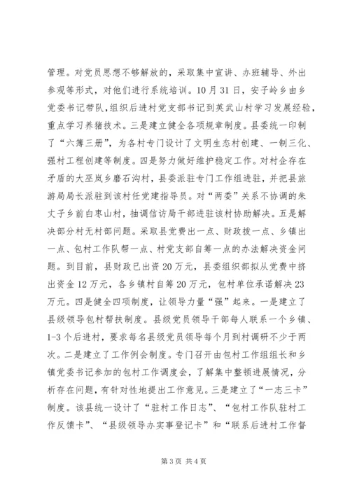 整顿农村党组织思考.docx