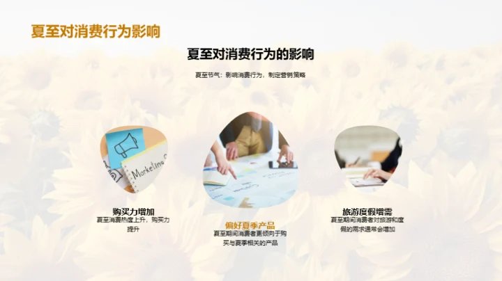 夏至营销战略解析