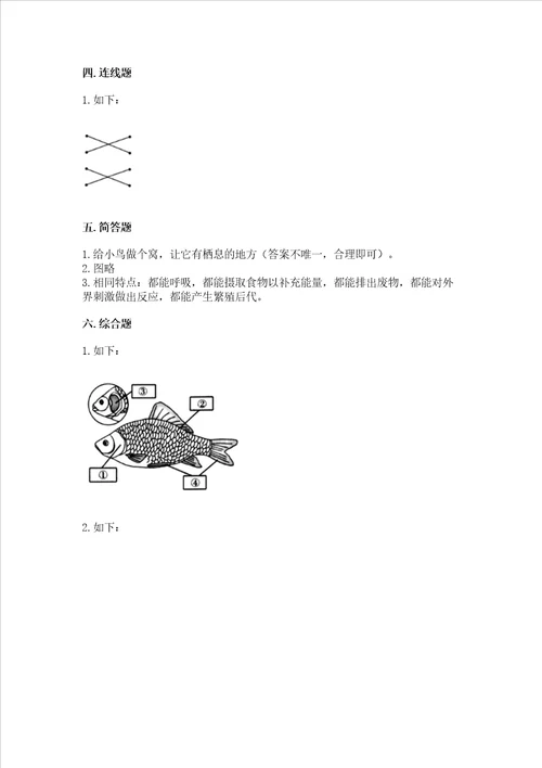 教科版科学一年级下册第二单元动物测试卷及完整答案考点梳理