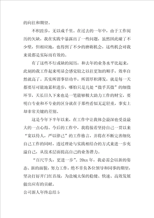 公司新人年终总结