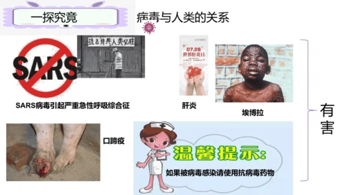 人教版生物七年级上册2.3.4《病毒》（课件）(共19张PPT)+视频素材