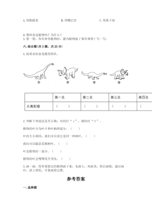 教科版一年级上册科学期末测试卷含答案（综合卷）.docx