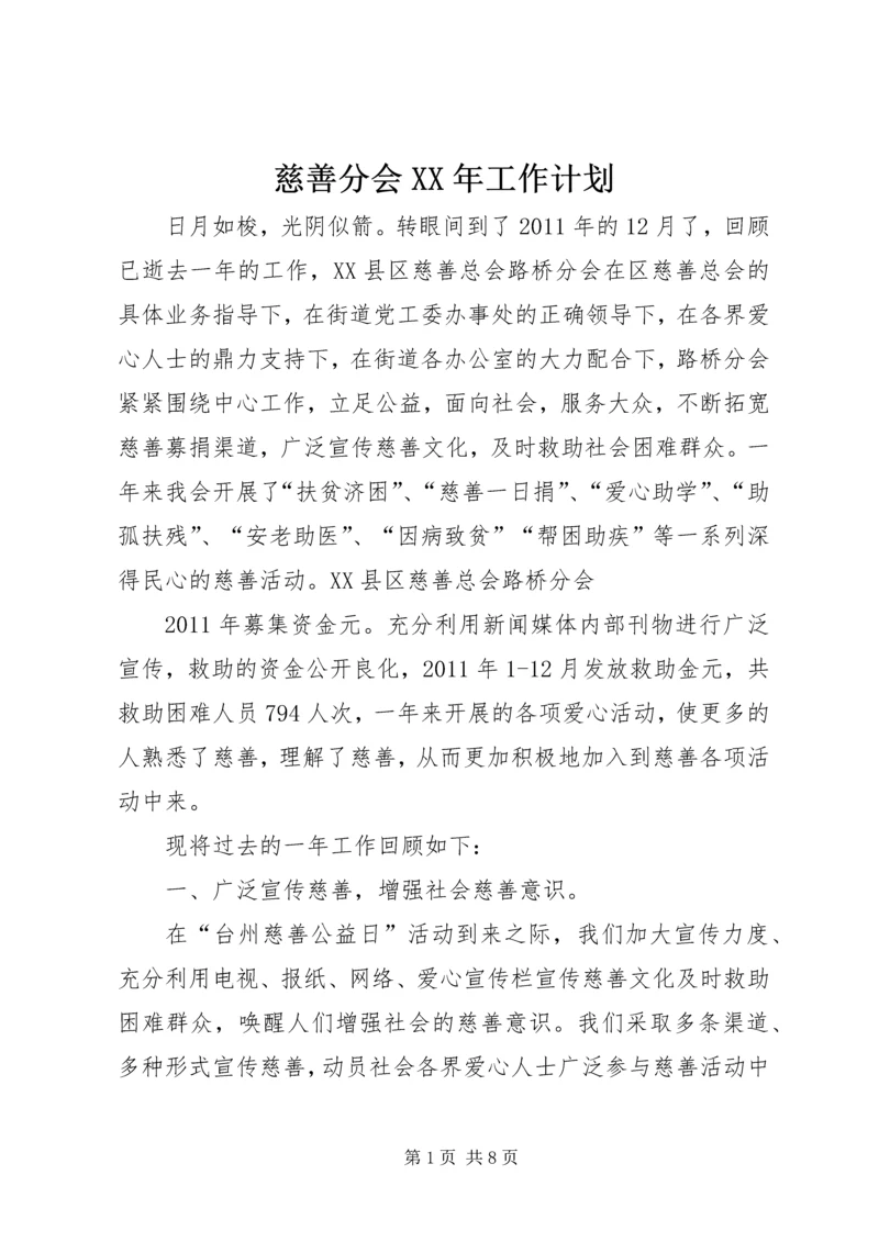 慈善分会XX年工作计划.docx