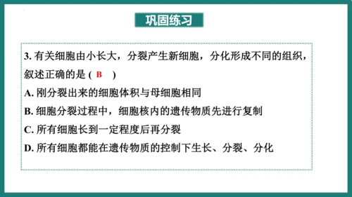 第一单元第三章从细胞到生物体（复习课件）-七年级生物上册同步教学精制课件（人教版2024）(共44张
