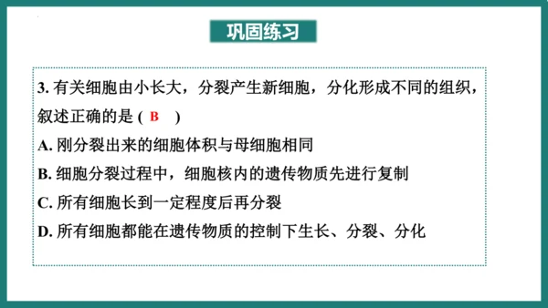 第一单元第三章从细胞到生物体（复习课件）-七年级生物上册同步教学精制课件（人教版2024）(共44张