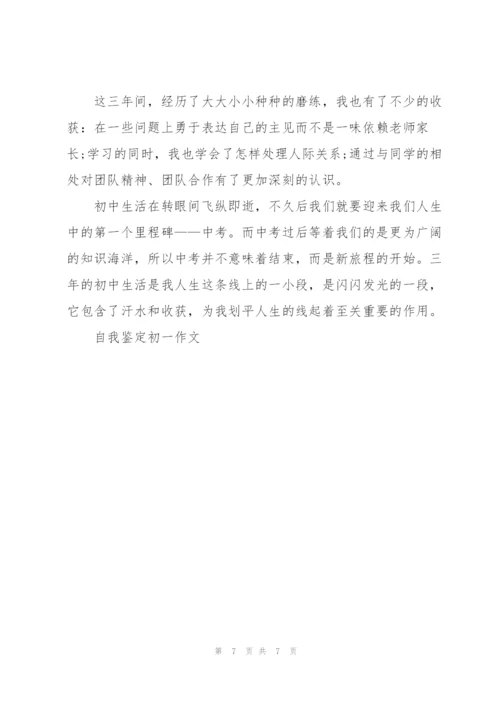 自我鉴定初一作文5篇.docx