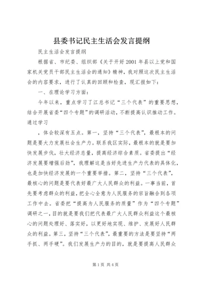 县委书记民主生活会发言提纲 (4).docx