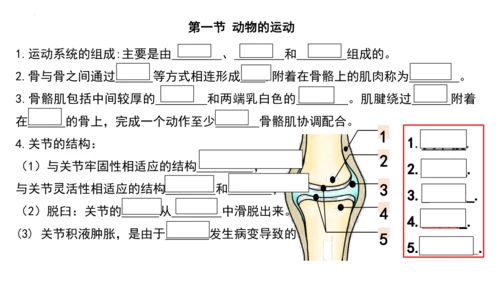 人教版生物八年级上册期末考试知识点汇总（课件）(共28张PPT)