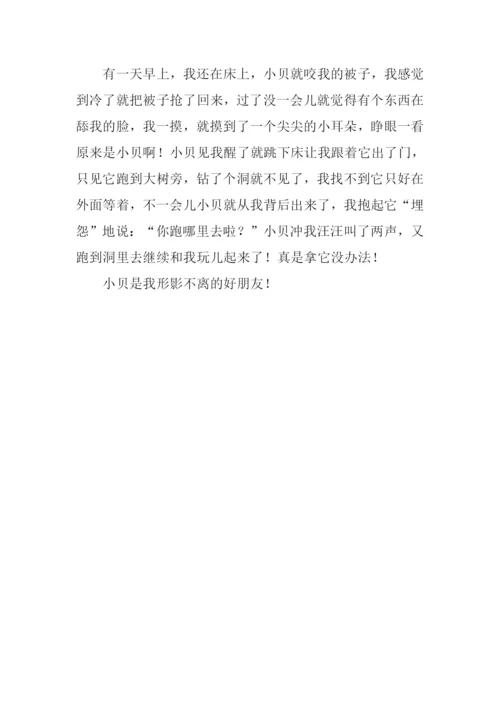 我的小狗作文250字.docx