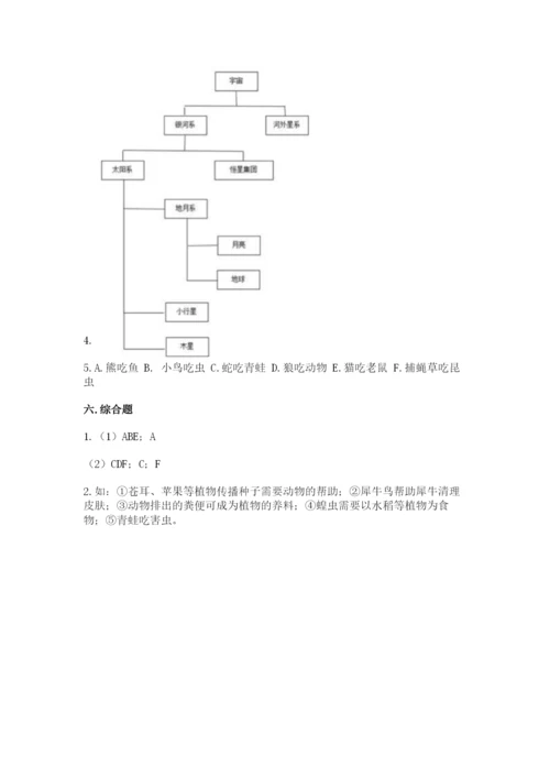 教科版六年级下册科学期末测试卷（必刷）.docx