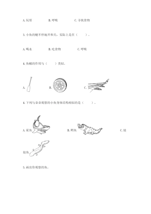 教科版一年级下册科学期末测试卷精品（全优）.docx