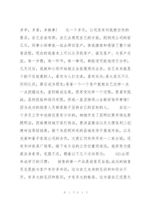 销售岗位月度工作总结.docx