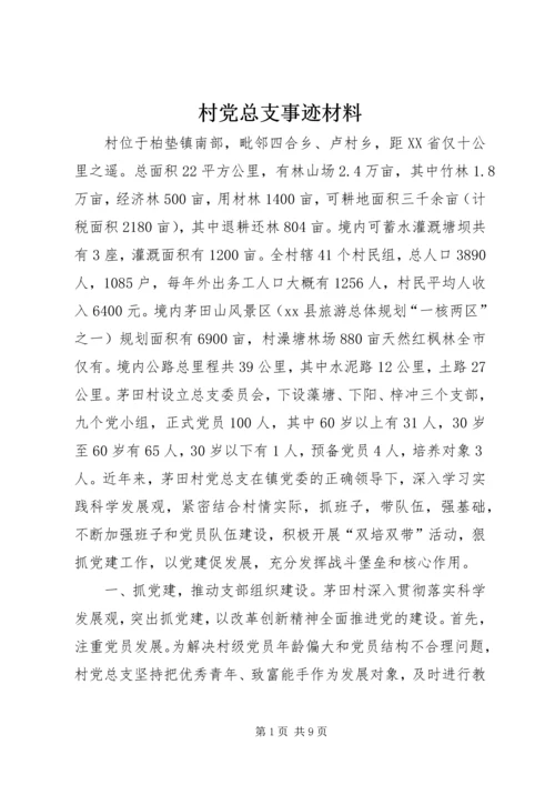 村党总支事迹材料.docx