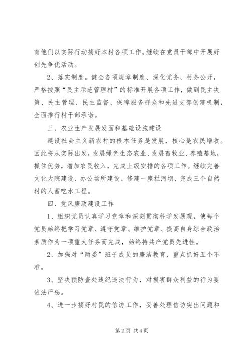村党支部、村委会工作计划.docx
