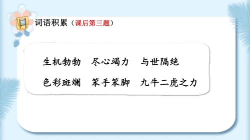 22.小毛虫（第二课时）教学课件