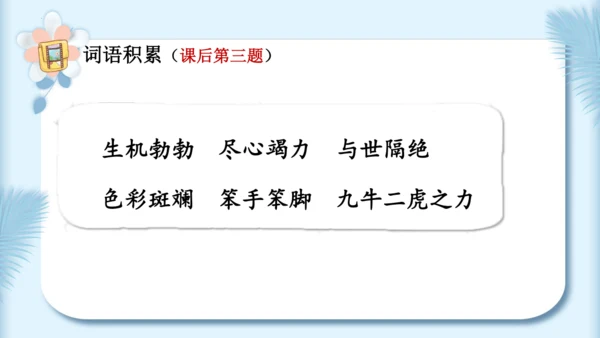 22.小毛虫（第二课时）教学课件