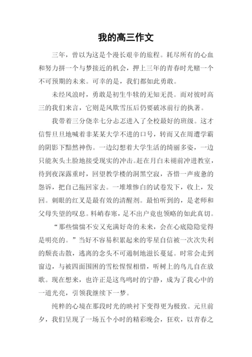 我的高三作文.docx