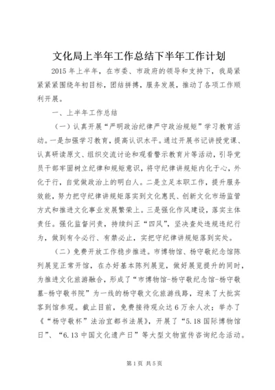 文化局上半年工作总结下半年工作计划.docx