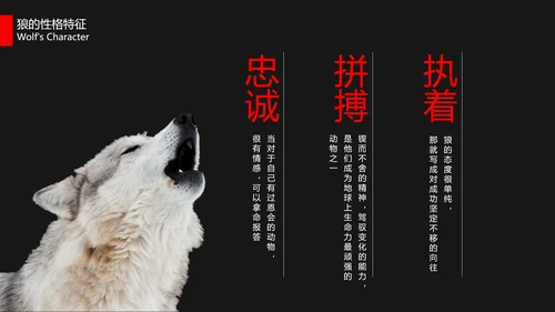 狼性文化教学企业团队培训PPT课件