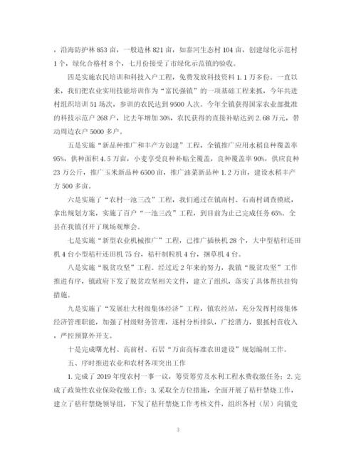 精编之乡镇农业农村工作总结优秀范文.docx