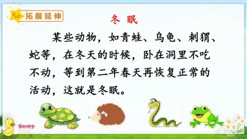 12 雪地里的小画家 课件