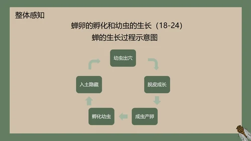 八年级下册蝉课件PPT模板
