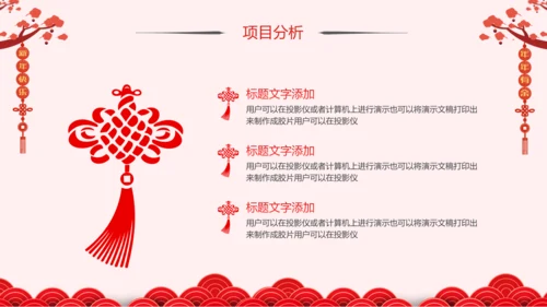 2019猪年新年春节联欢会年终总结PPT