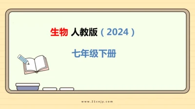 4.4.2血流的管道——血管-七年级生物下学期同步精品课件（2024人教版）(共30张PPT)