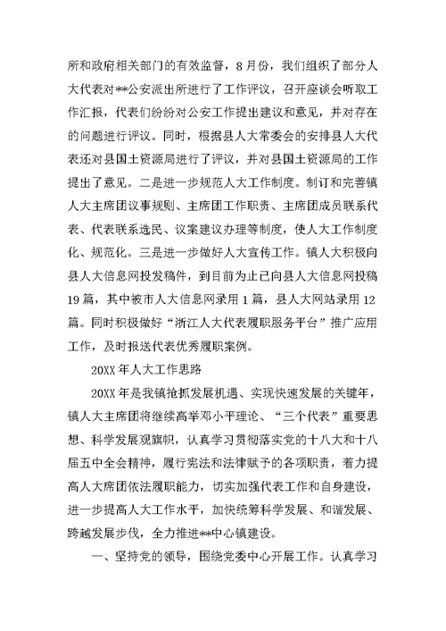 乡镇人大工作总结3000字