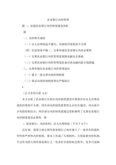 农业银行内控管理.docx