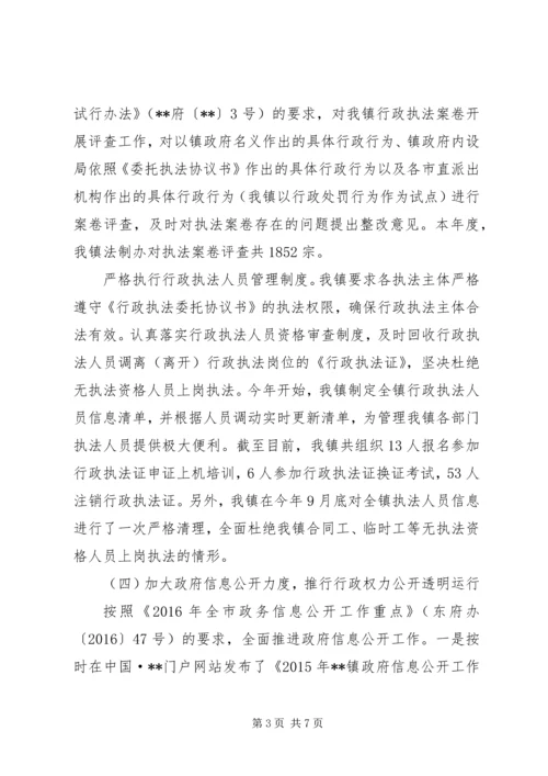 乡镇法治政府建设情况报告.docx