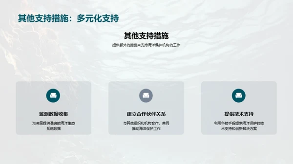 海洋守卫者的责任