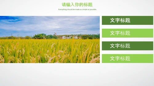 农业生产春耕三农新农村乡村振兴稻田水稻PPT
