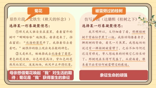 第一单元习作：学习仿写（课件）2024-2025学年度统编版语文八年级下册