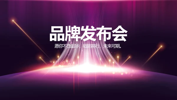 紫色公司品牌发布会策划方案工作总结PPT
