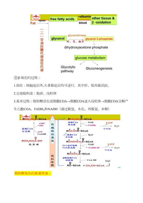 2023年生物化学脂质代谢知识点总结.docx