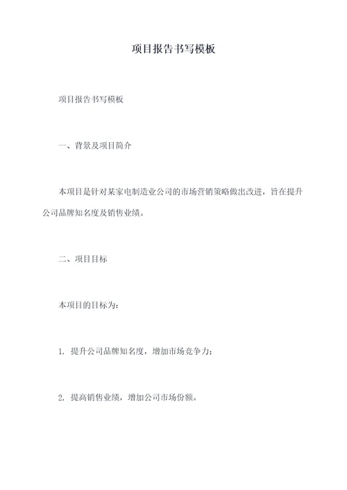 项目报告书写模板