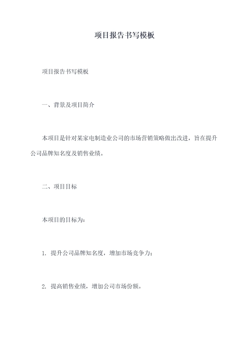 项目报告书写模板