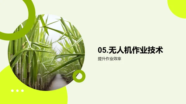 糖料种植的科技革命