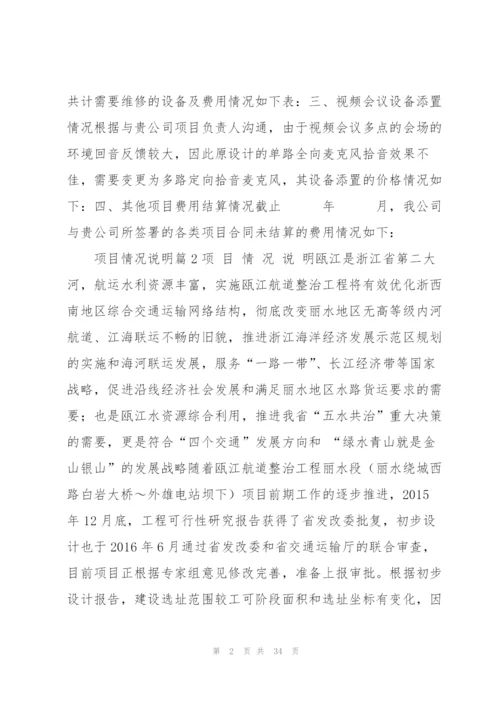 项目情况说明范文(7篇).docx