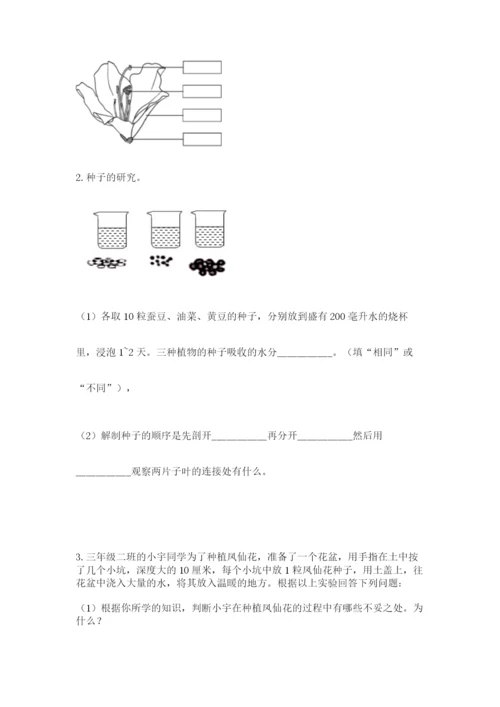 科学四年级下册第一单元《植物的生长变化》测试卷精品【巩固】.docx